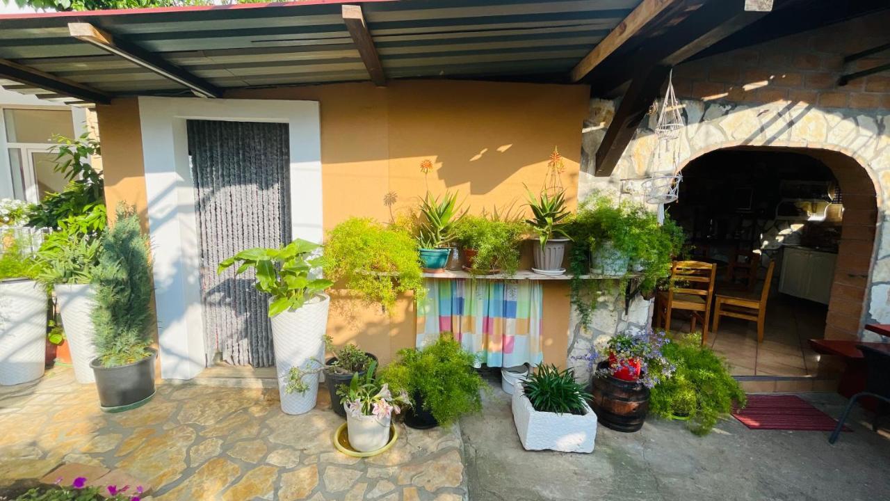 Colorful And Happy Apartment Sukosan - With Parking Dış mekan fotoğraf